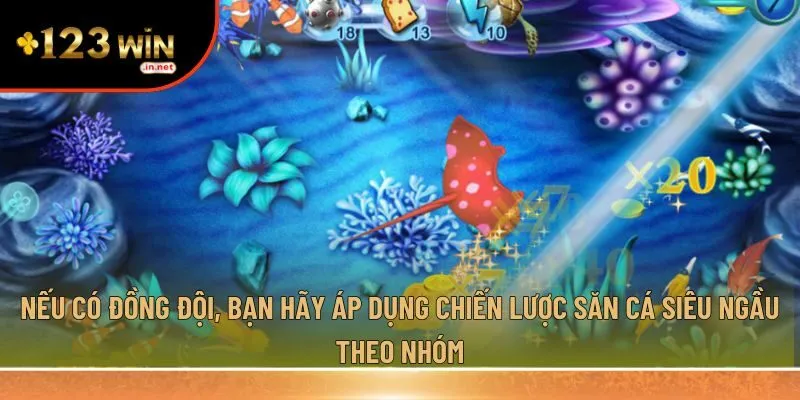  săn cá siêu ngầu theo nhóm